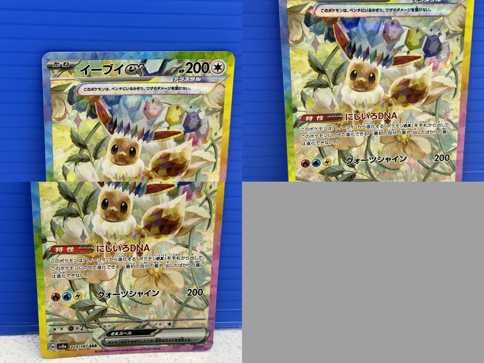 【12枚セット】イーブイex sar テラスフェスex PSA10】イーブイex SAR 2種類セット【連番】ポケモンカード