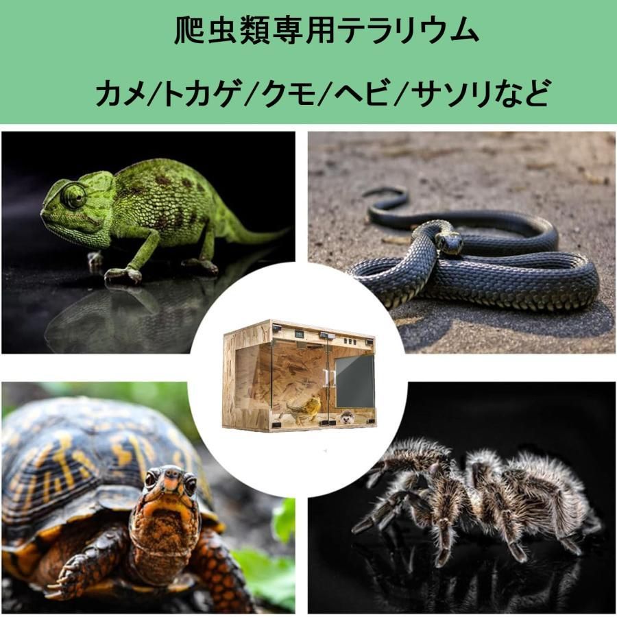 両生類飼育ケース 組立式