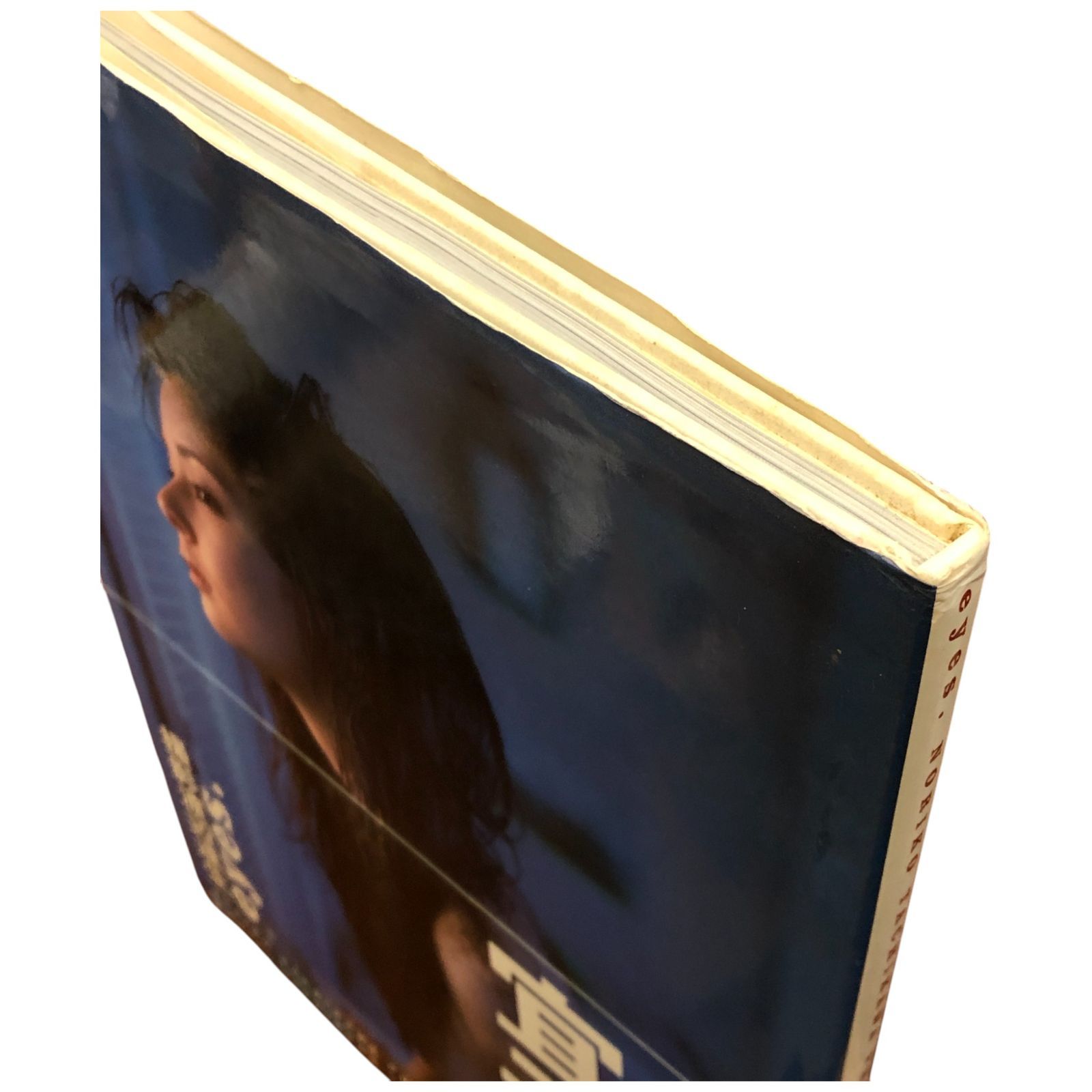 立河宜子写真集 eyes 渡辺達生 ワニブックス 1995年10月1日 ☆写真集