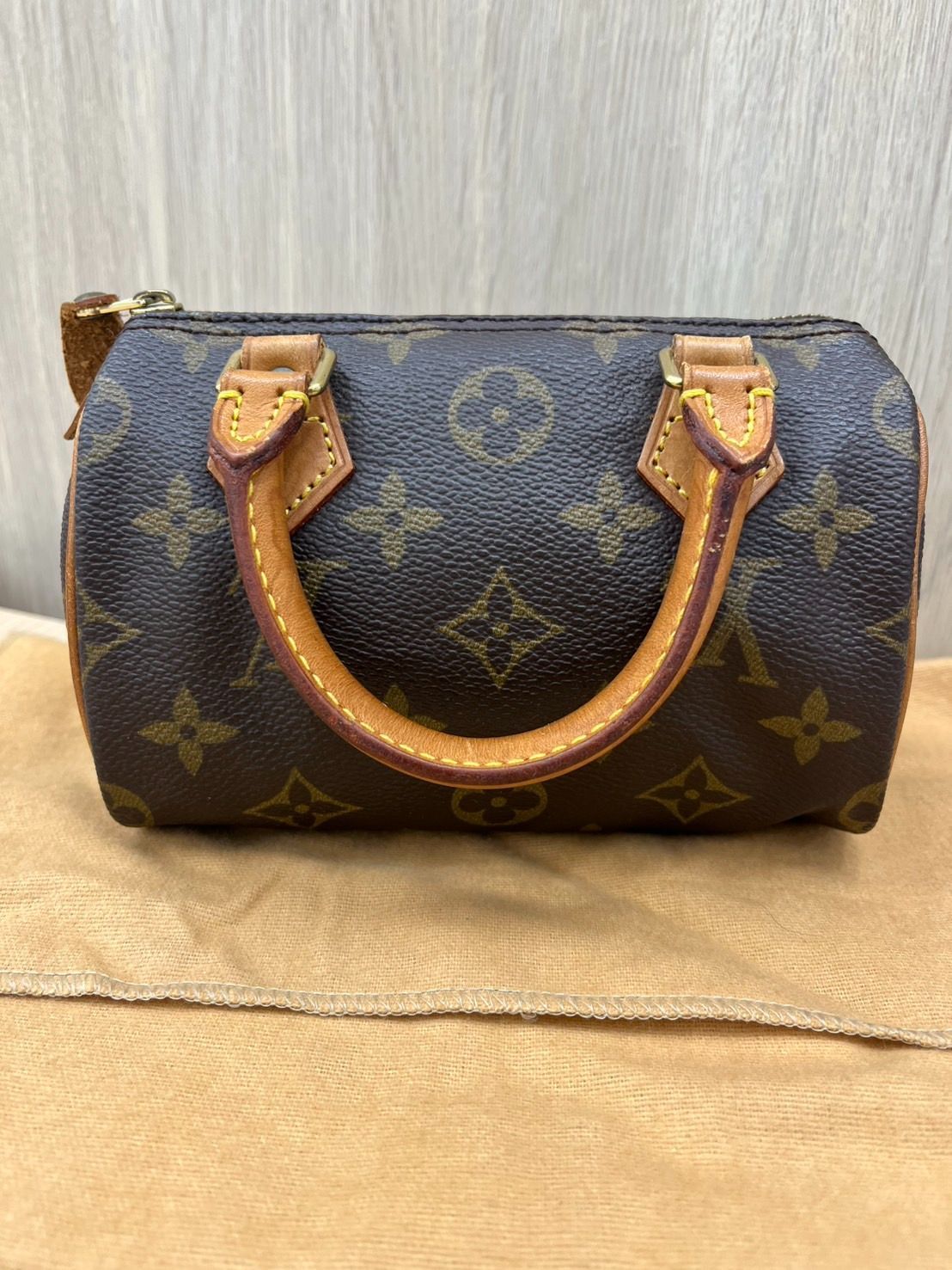 LOUIS VUITTON / ルイ・ヴィトン】 ハンドバッグ ミニスピーディ