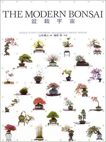 THE MODERN BONSAI 盆栽宇宙