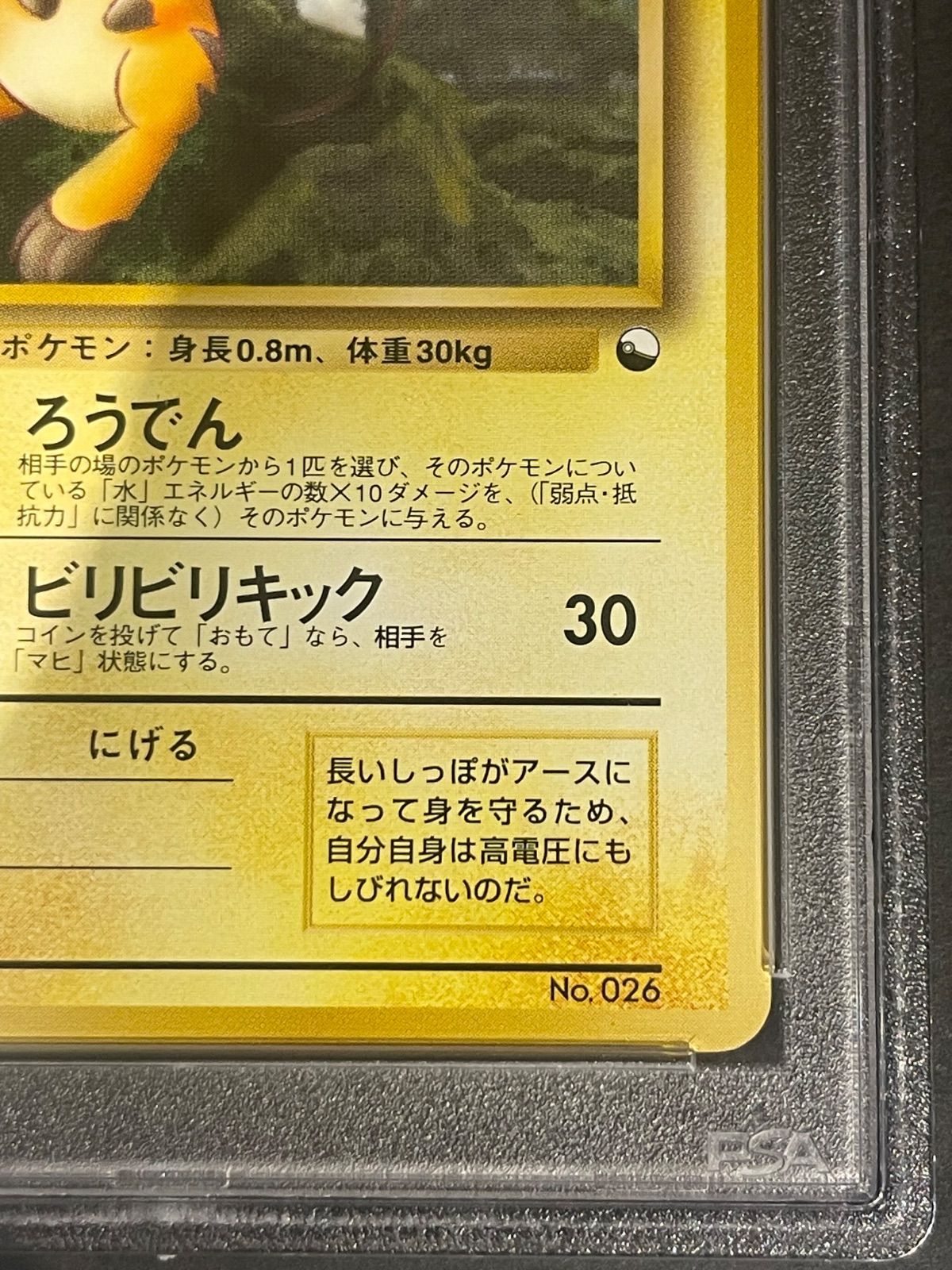 ポケモンカード 1998年 ライチュウ クイックスターターギフト 旧