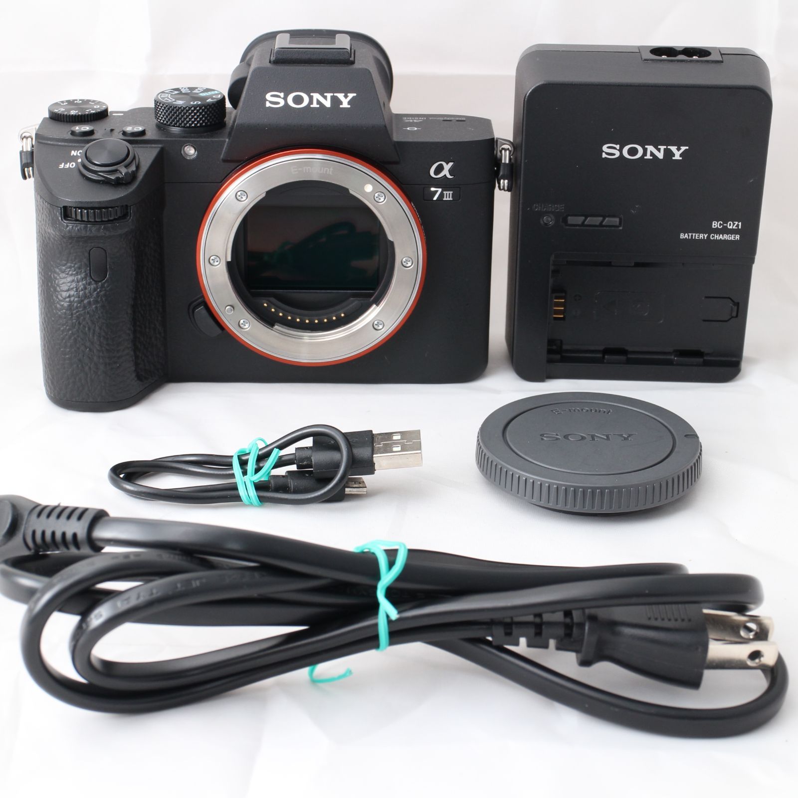 ☆海外版・Overseas model(English menu)☆ SONY ソニー ミラーレス