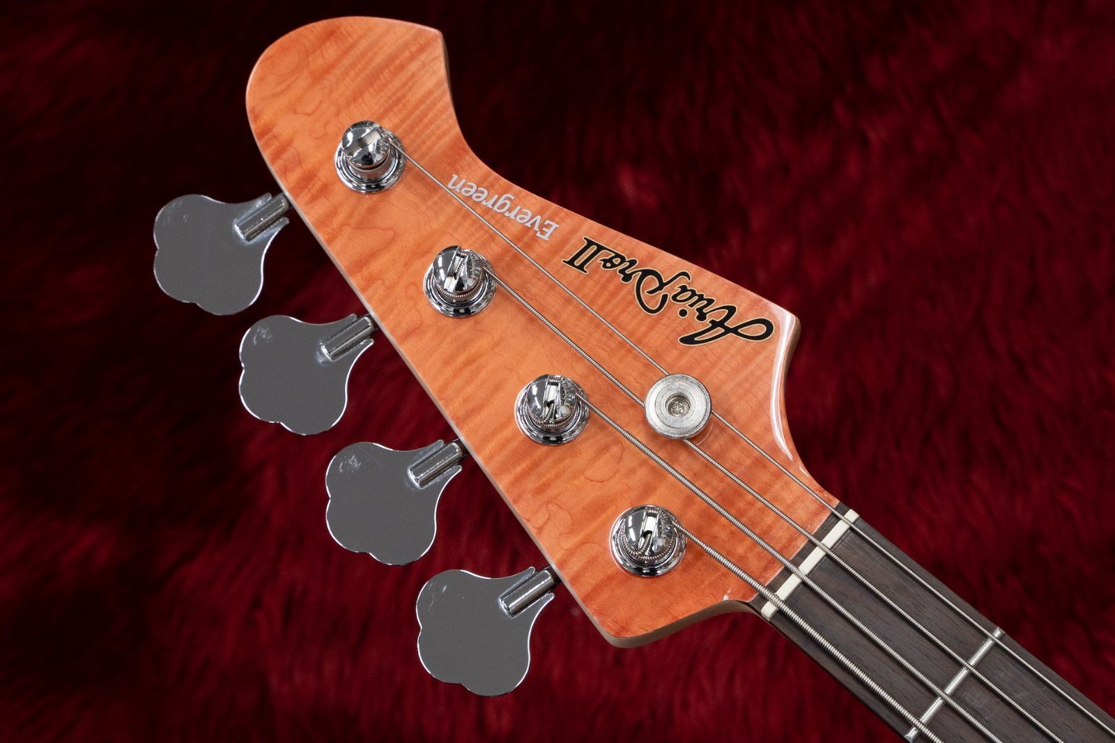 new】Ariapro II  Evergreen STB-AE200 MP【横浜店】 - 楽器、器材