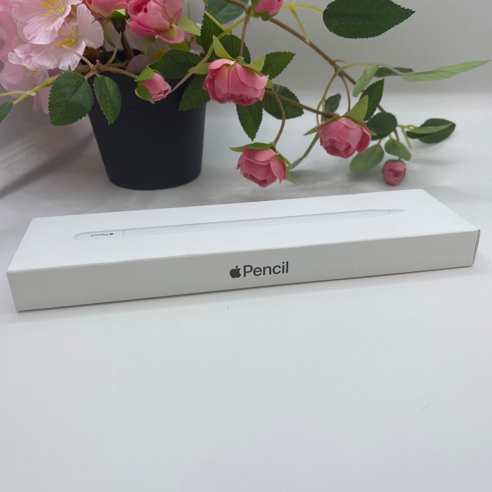 Apple Pencil (USB-C) アップルペンシル 新品 未開封 【公式通販】