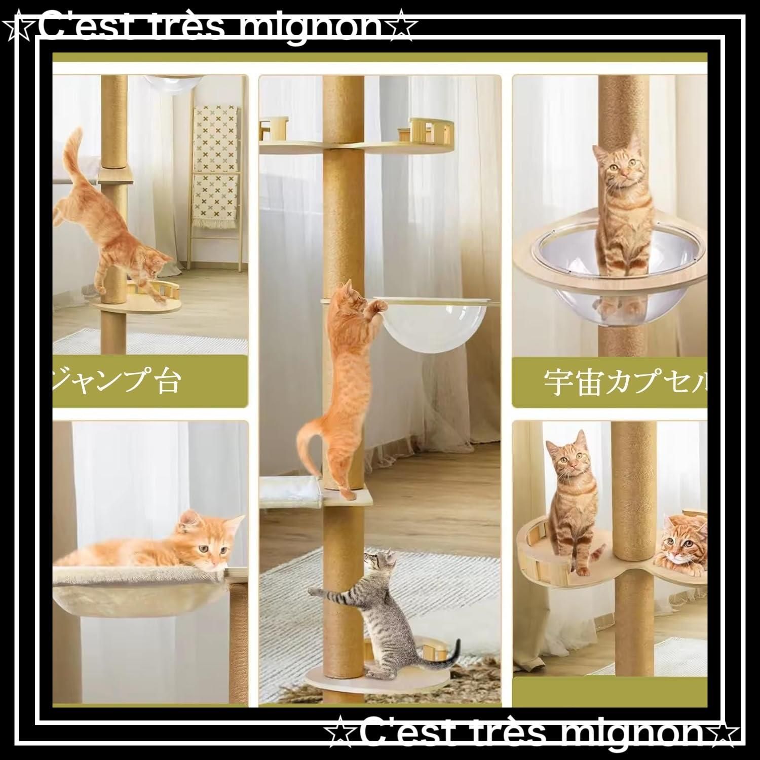 木製 宇宙船