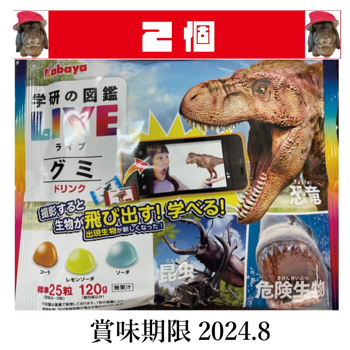 わけあり大特価【賞味期限間近の商品のため】カバヤ🦖図鑑Liveグミ🦖ARギミック付き個包装🦖大袋×2袋🦖コーラ・レモンソーダ・ソーダ味🦖賞味期限:2024年8月  - メルカリ