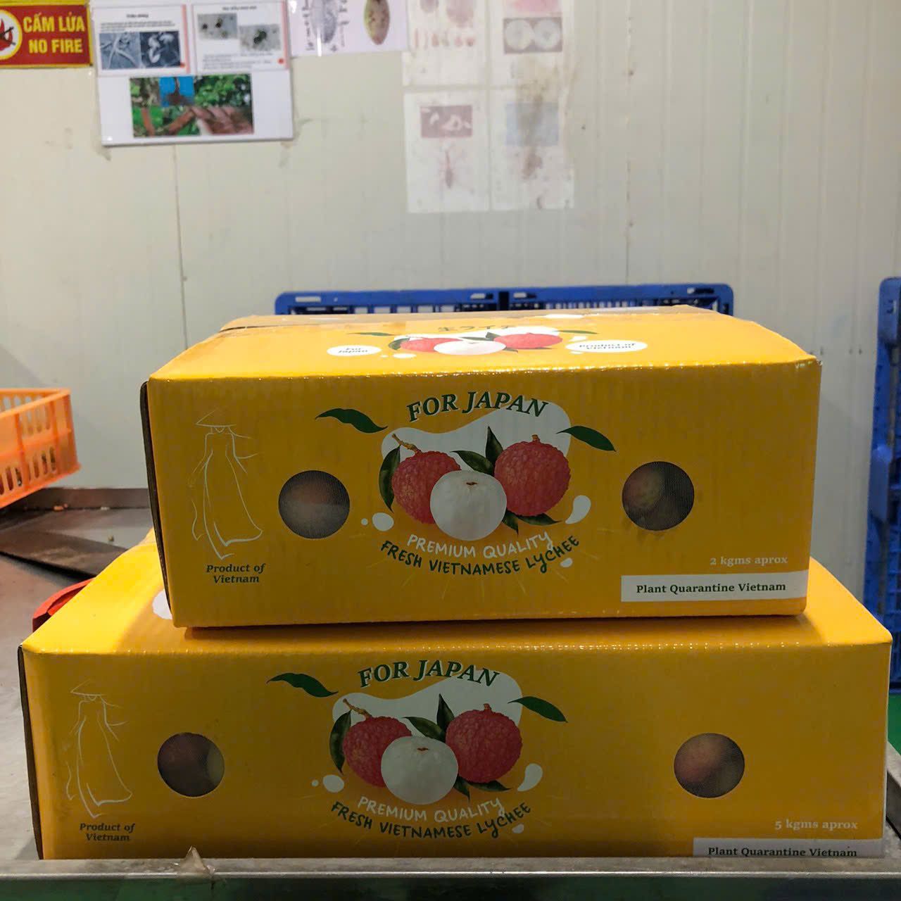 10KG -