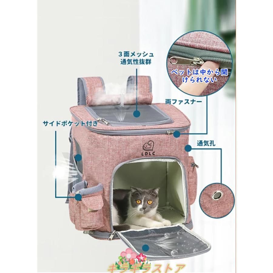 犬