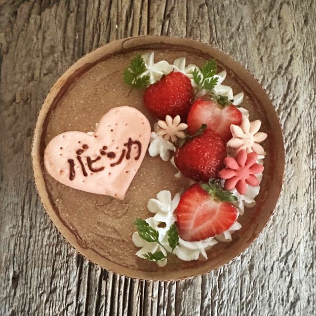 新品未開封【送料無料】お得　おすすめセット キッチンドック【お祝い ショコラッティ 至福のケーキ chocolatti＋