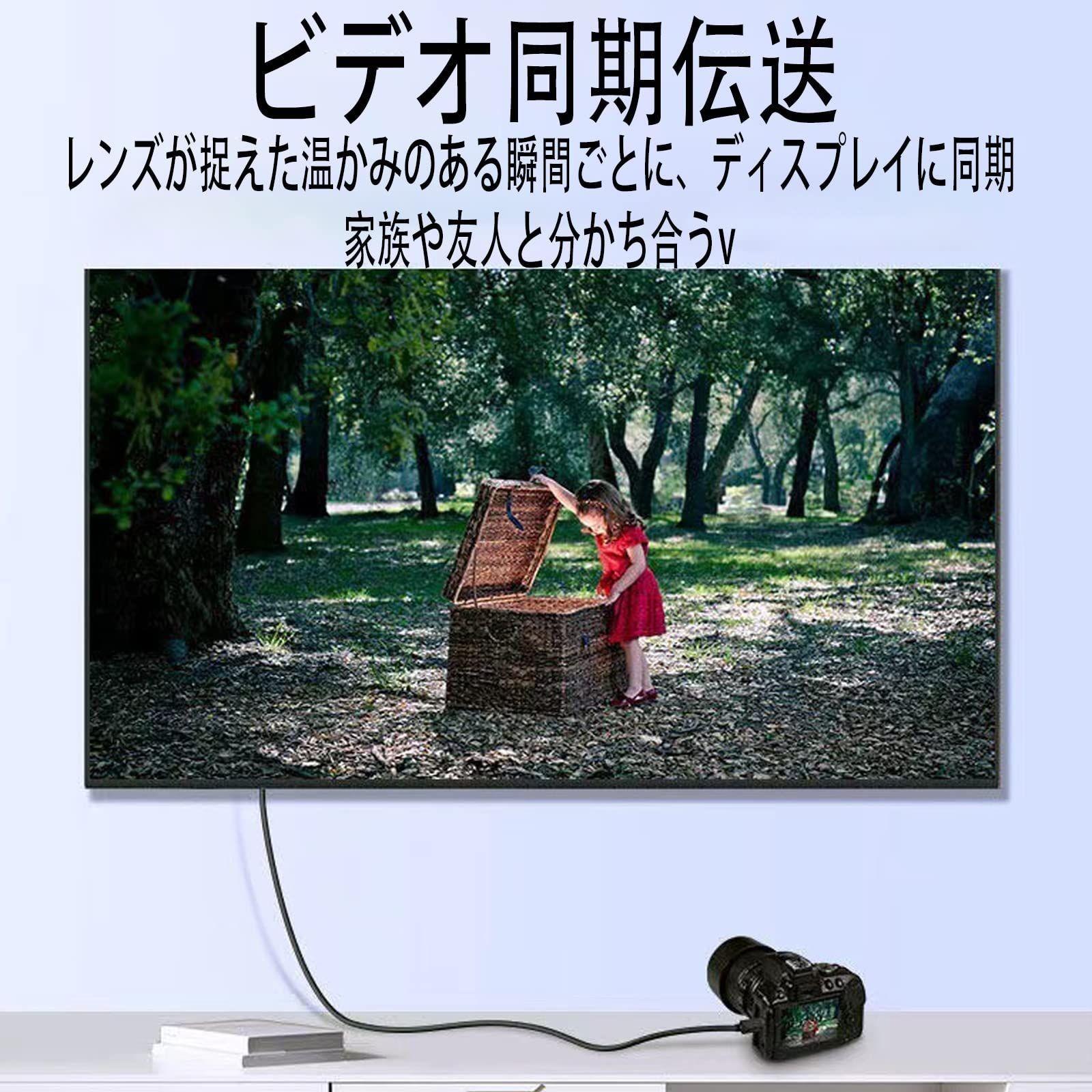 人気商品】hdmi hdmi hdmi to 双方向伝送 mini 60Hz 4K ミニ (タイプA