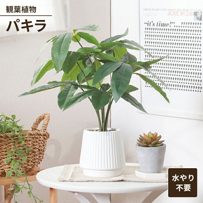 机・テーブル 美品✨️【梅里竹芸】バンブー素材 半円形 サイド