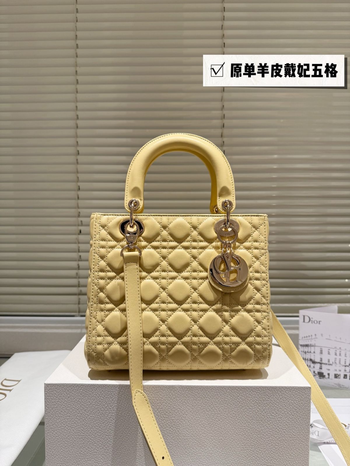 今日特価】Dior Lady Dior 羊皮ミニバッグ 24cm 高品質