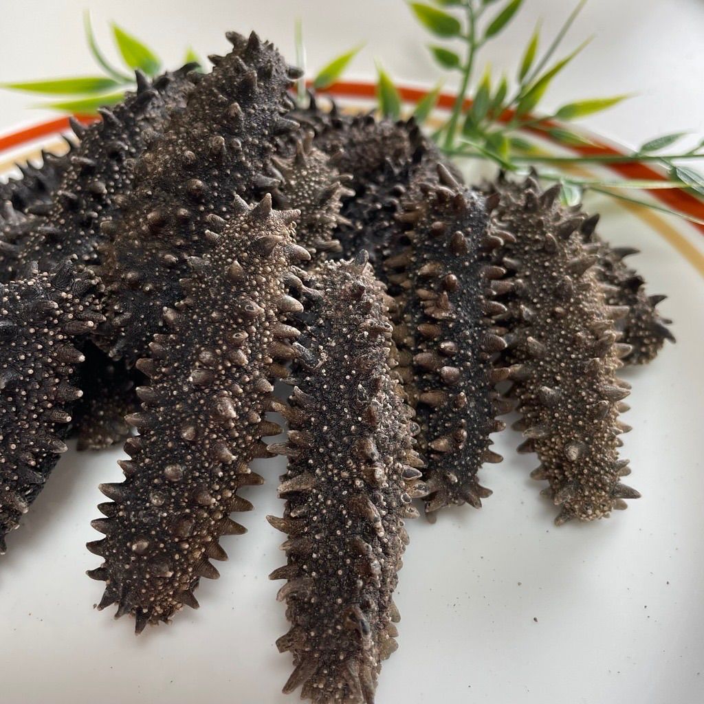 北海道産 乾燥黒ナマコ 500g A品 キンコ - メルカリ