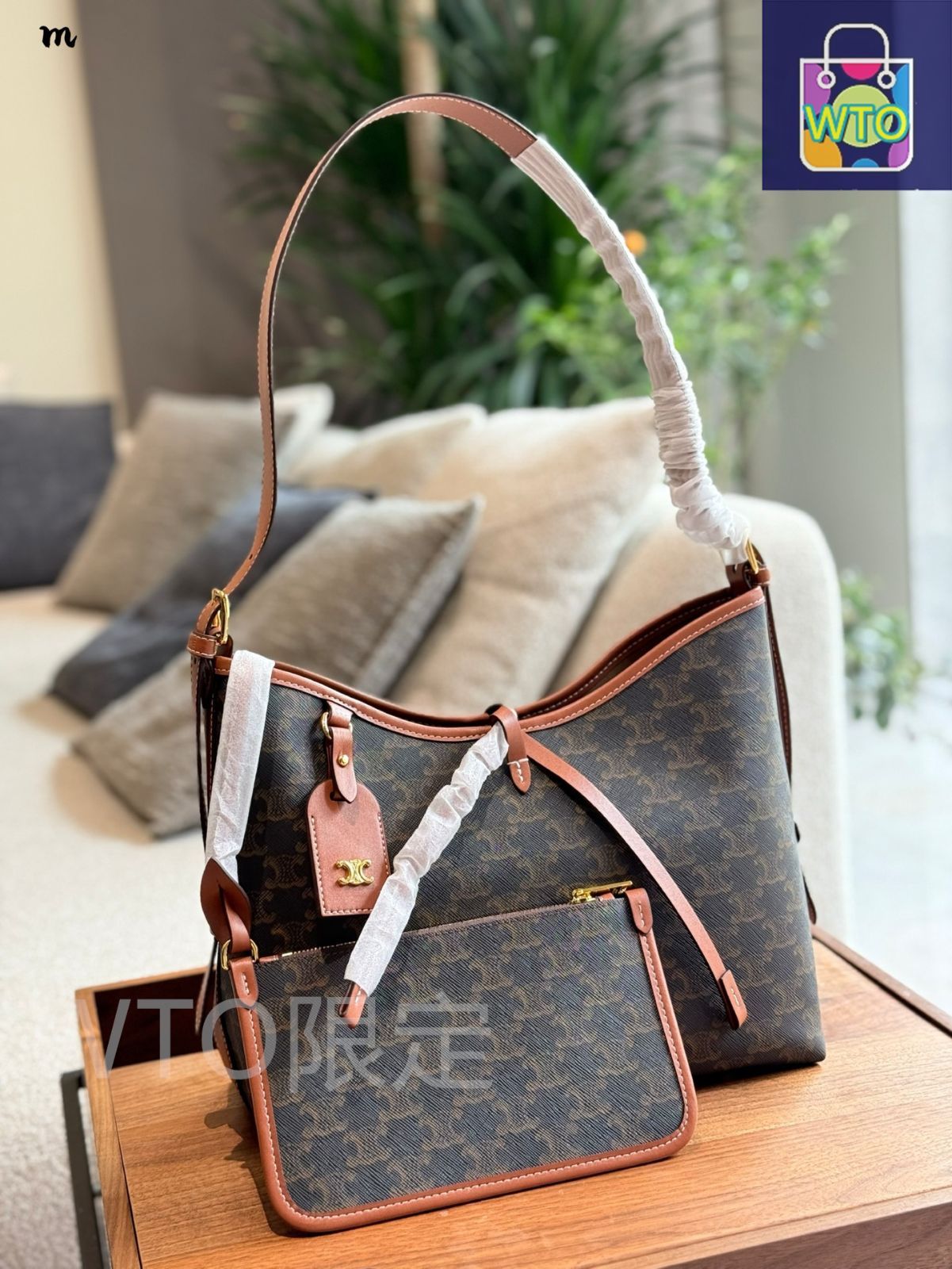 今日 Celine Carryall Tote Bag - セリーヌ キャリオール トートバッグ-WTO輸入2