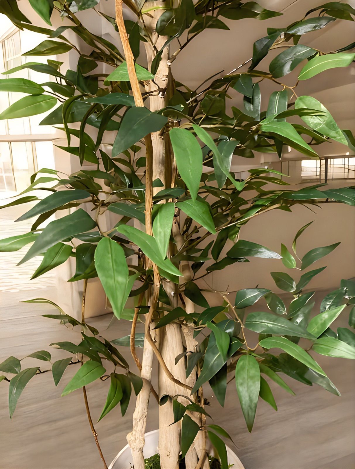 人工観葉植物 ウォールグリーン