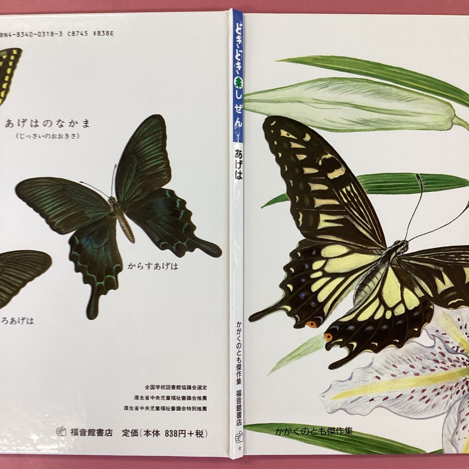 かがくのとも傑作集　絵本セット 10冊 かがくのとも傑作集・特製版 絵本10冊セット 8rm_c17_27 - メルカリ