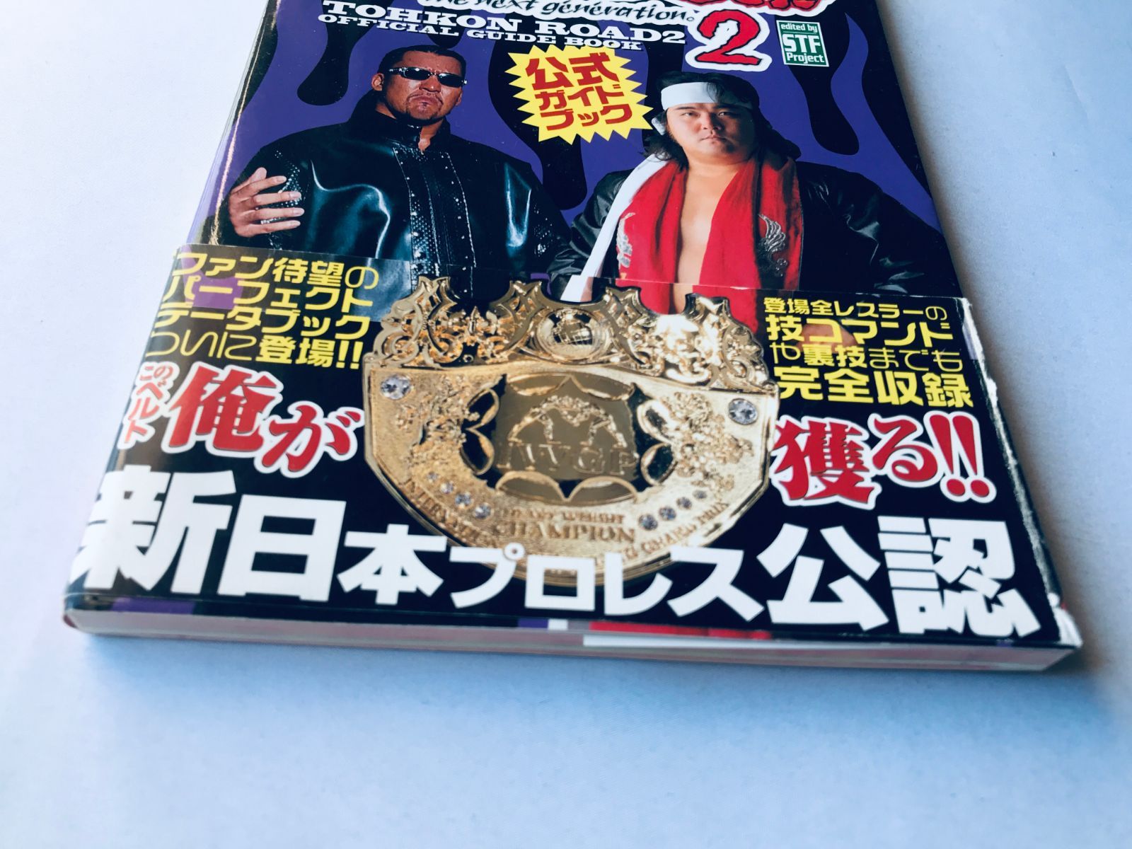 新日本プロレスリング闘魂炎導2公式ガイドブック 新日本プロレスリング 闘魂炎導2 the next generation 公式