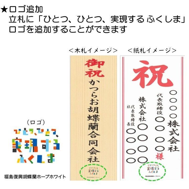 大輪胡蝶蘭白５本立