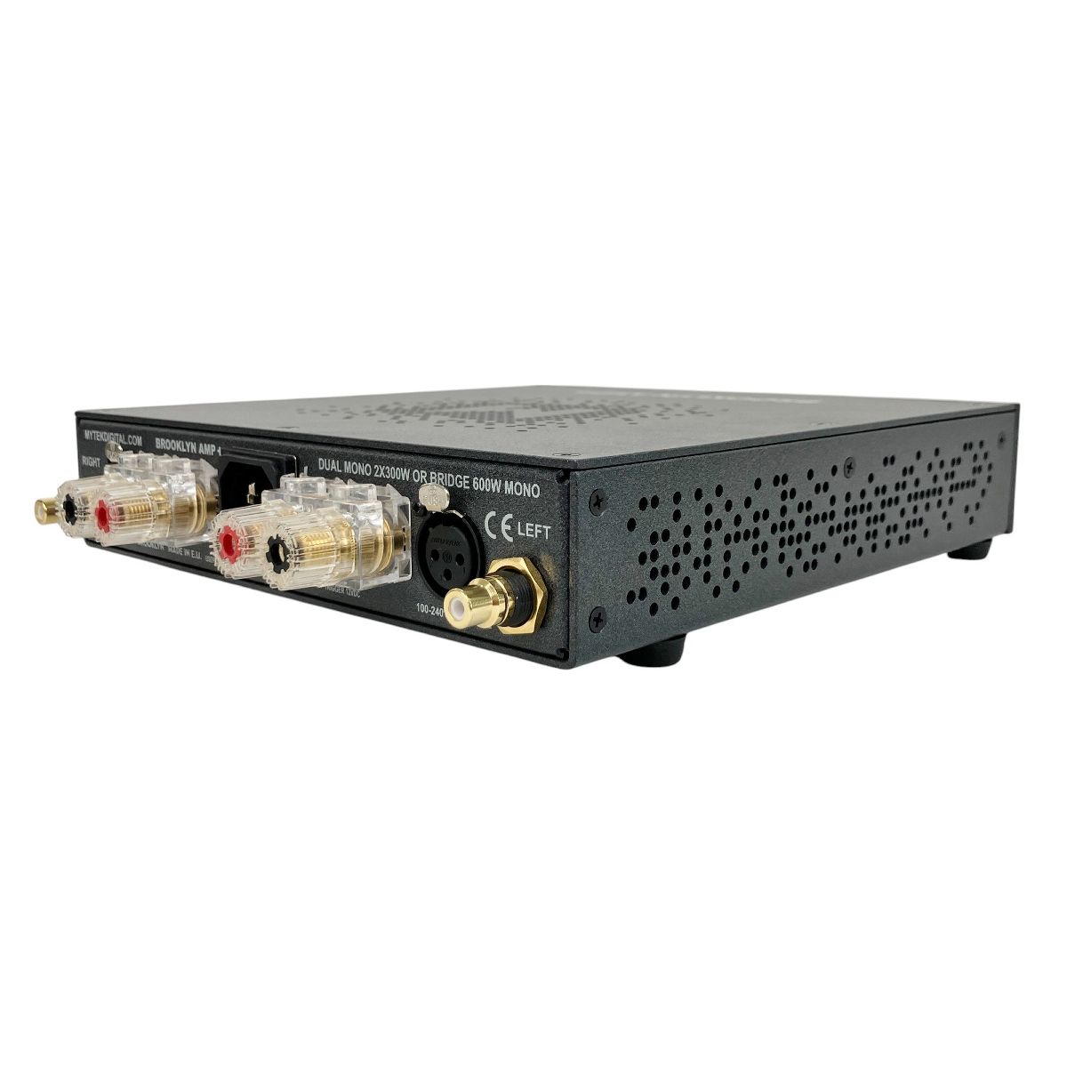 AMP