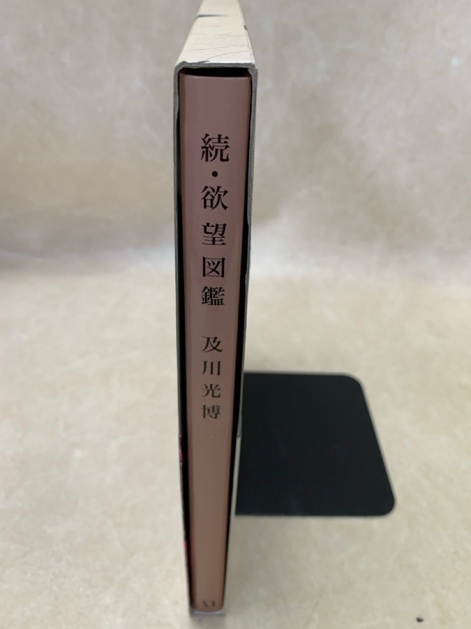 及川光博 ○ 続・欲望図鑑 続・欲望図鑑 | 及川 光博 |本 | 通販