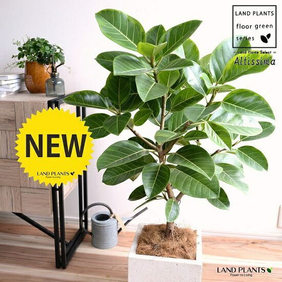 光触媒 人工観葉 ウォールグリーン フェイクグリーン 壁掛け