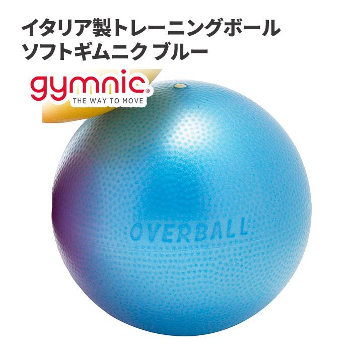 青 Physio Roll Plus バランスボール ギムニク｜ギムニクショップ公式