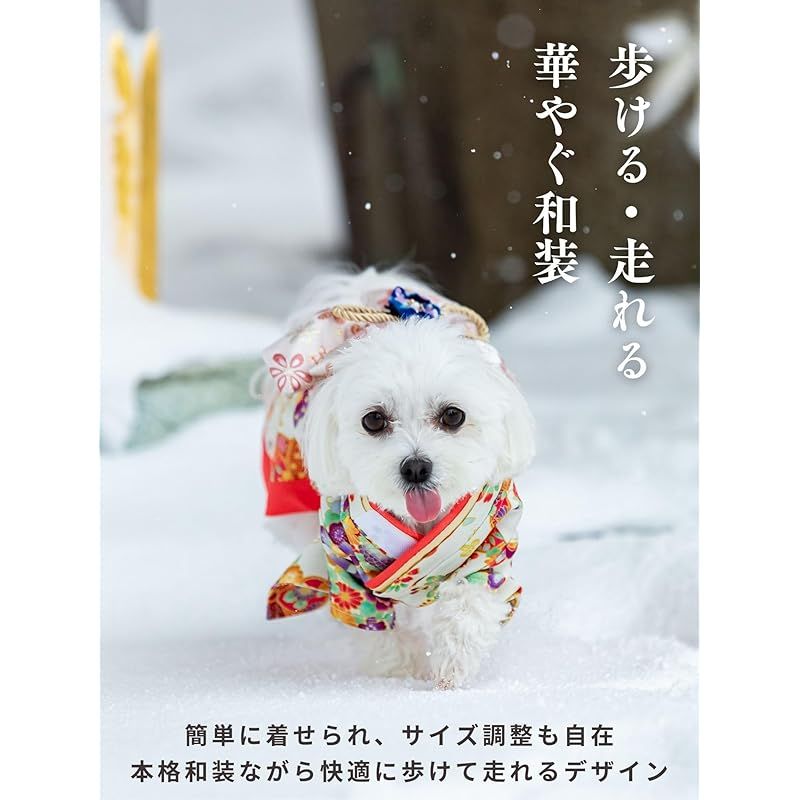 ONEKOSAMA OINUSAMA 犬 いぬ イヌ 服 猫 ネコ ねこ 着物 和装 和服 ドッグウェア お祭り お正月晴れ着 正月 七五三 小型犬 大型犬 小型 大型 サクラボタン|M WWW_NOITHATQUANGTHANH_NET