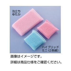 本 王陽明の人と学Ⅰ、Ⅱ、伝習録Ⅰ、Ⅱ、Ⅲ、この師この友、易の原理