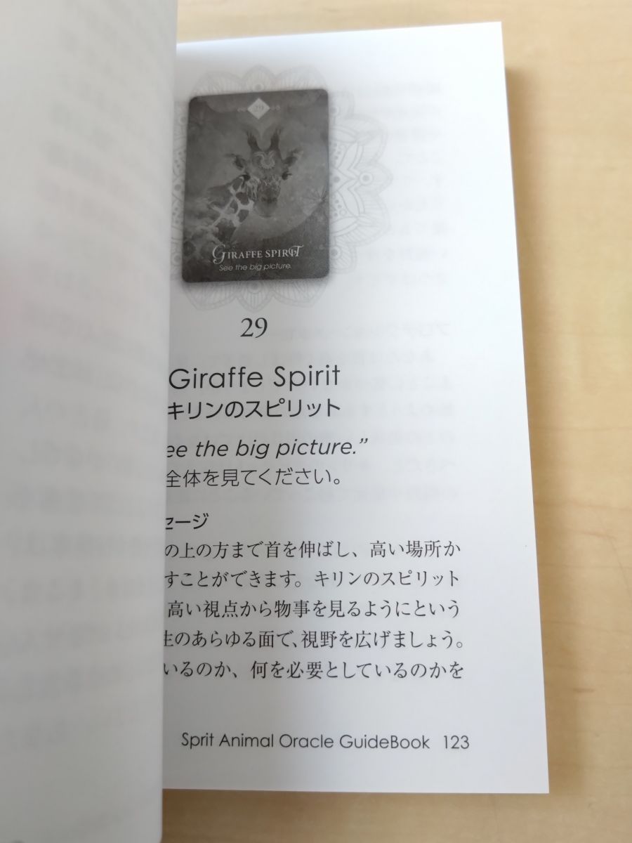 【新品未開封】スピリットアニマルオラクルカード　コレット・バロン・リード スピリットアニマルオラクル The SPIRIT ANIMAL ORACLE コレット
