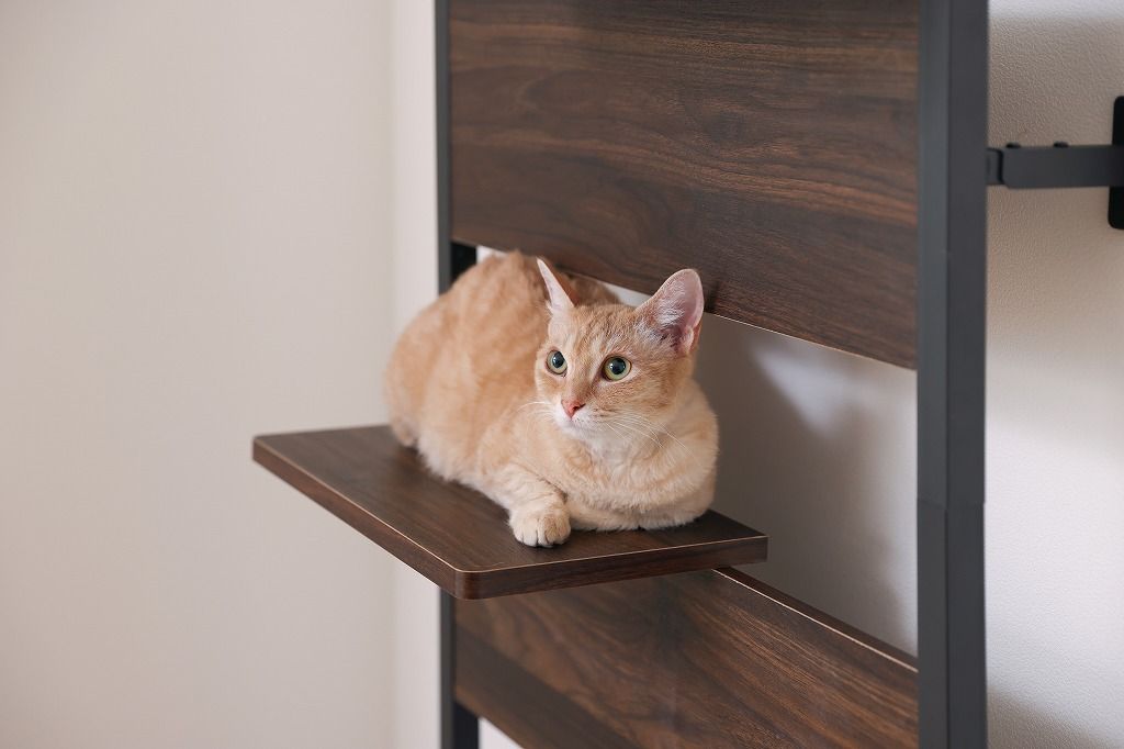 幅約68.1×奥行約30.4×高さ約208.5〜278.4cm