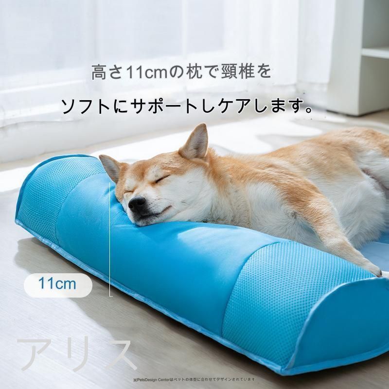 犬
