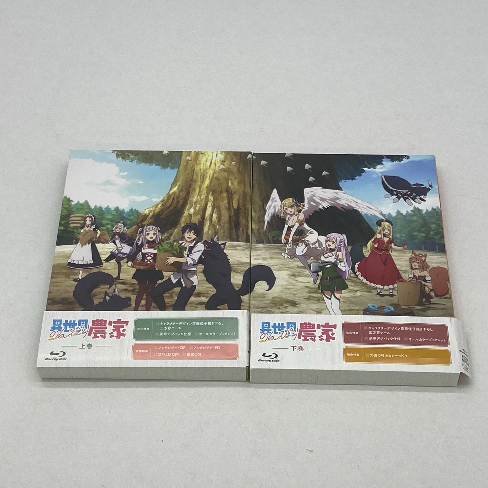 04m1189∞ 異世界のんびり農家 Blu-ray 上巻・下巻 中古品 - メルカリ