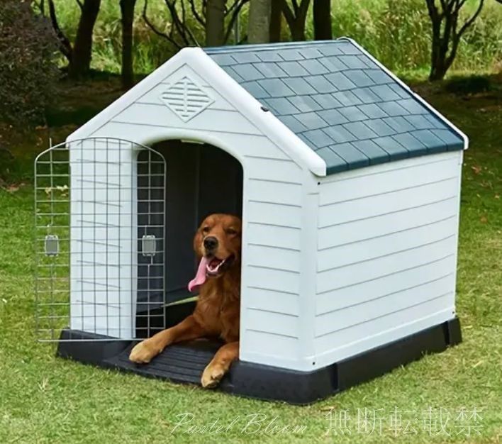 中型犬