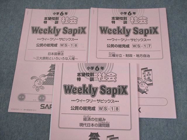 SAPIX サピックス 小6 国語 SS特訓 志望校別入試攻略プリント 01〜14 テスト計14回 通年セット 2024 024S2D SAPIX サピックス 小6 国語 SS特訓 志望校別入試攻略プリント 01