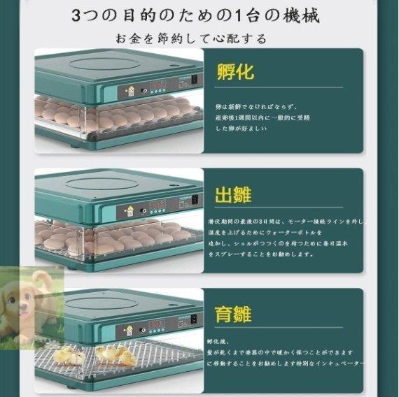 自動転卵
