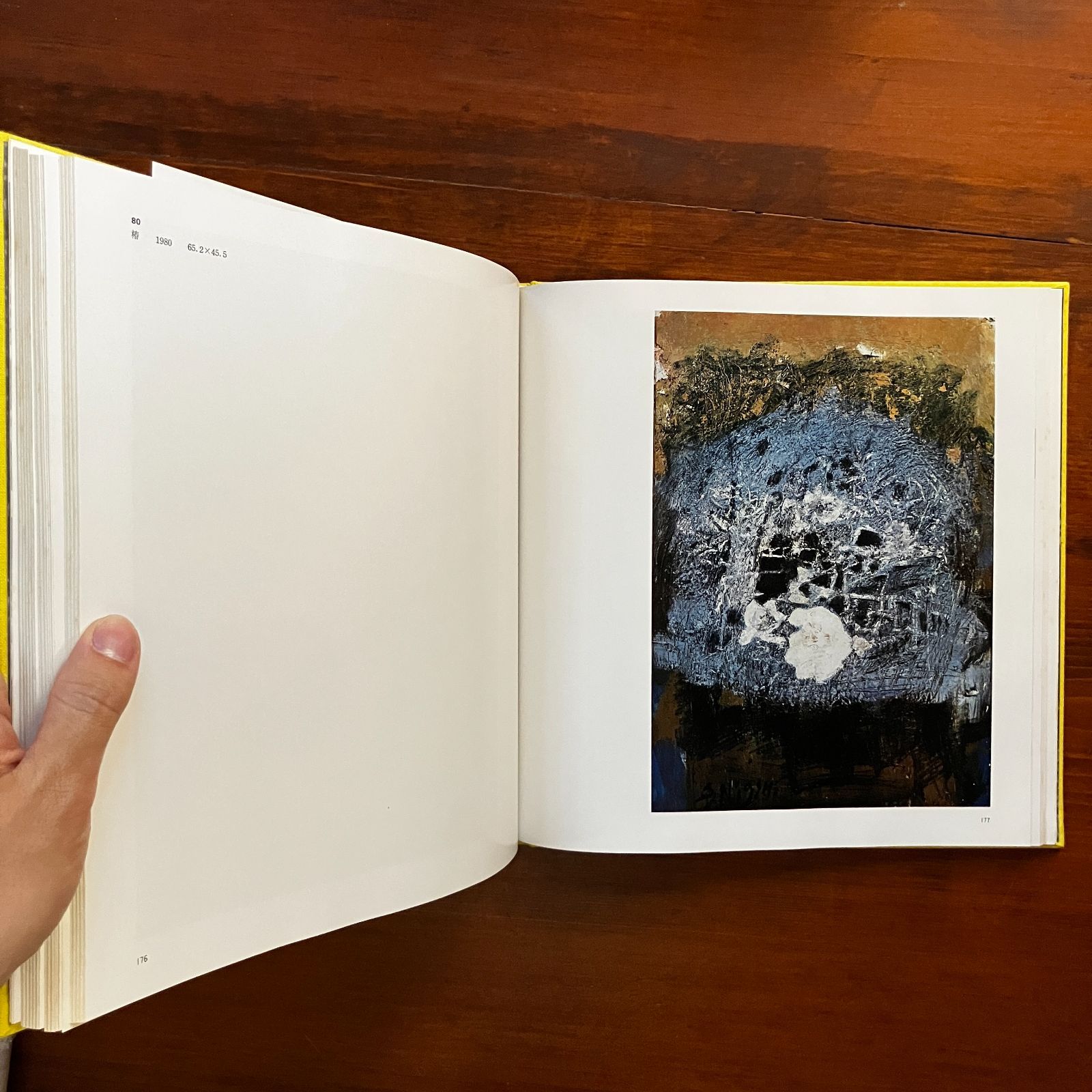 三岸節子画集 第2集 1938—1980 三岸節子画集 2冊セット 三岸節子