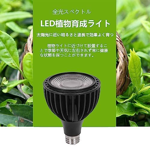 植物育成ライト 30W 6000K 3個 黒色 太陽光 フルスペクトルLED23 植物育成ライト 30W 4000K 3個 黒色 太陽光 フルスペクトルLED15