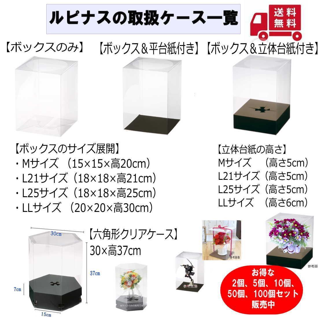 日本製【 LLサイズ 1個 】クリアボックス 20cm×20cm×高さ30cm