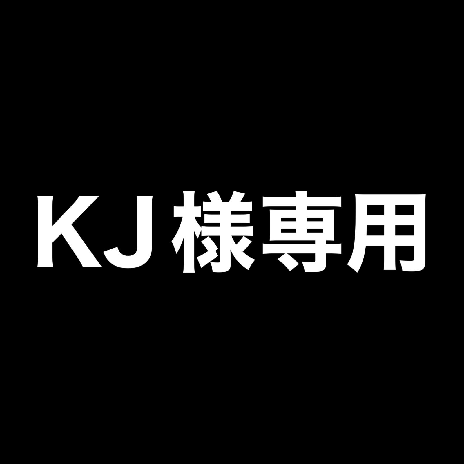 KJ様専用【2024/10/24まで掲載】 - メルカリ