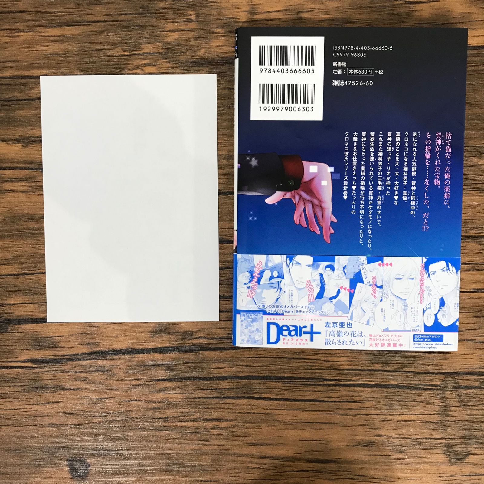 初版】クロネコ彼氏のあるき方 2巻/左京亜也/GF-0225009406-YP