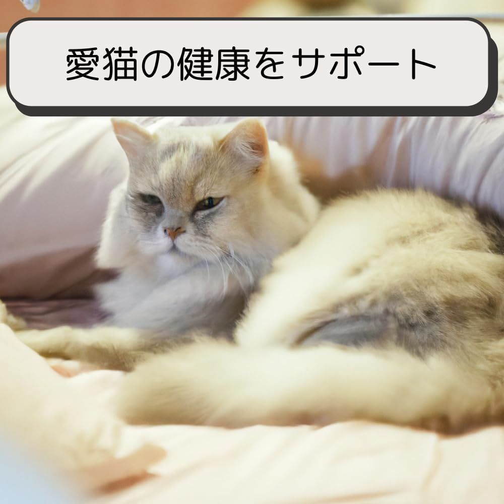 ライト