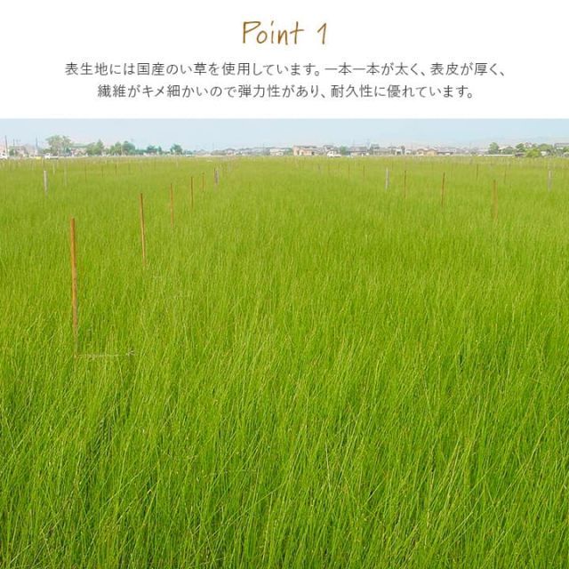 撥水 国産 い草 置き畳 ユニット畳 簡単 和室 ナチュラル 約88×176cm 単品 MARWIL-DEMENAGEMENTS_CH