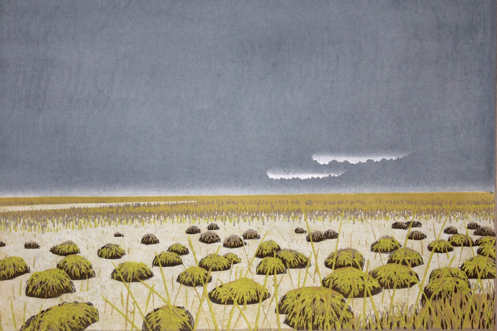 大本靖 「ヤチボウズ」 木版画 絵画 大本靖 『ヤチボウズ』 木版画 - 北海道画廊