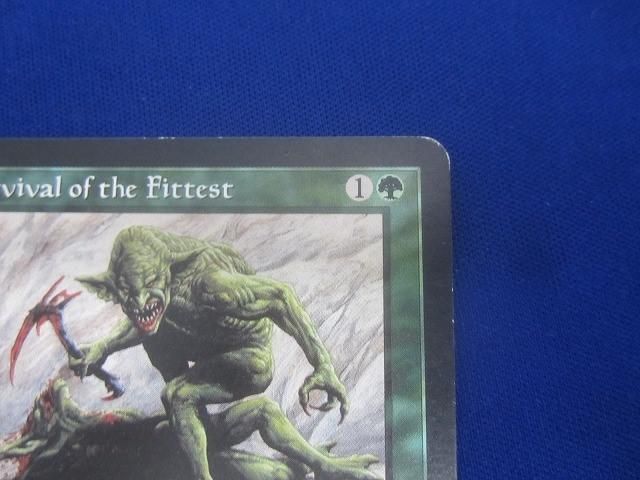 状態D トレカ MTG マジック:ザ・ギャザリング EXO-129 適者生存