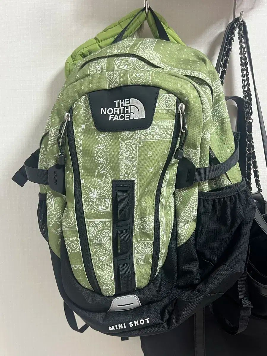 THE NORTH FACE ザ ノース フェイス ミニショット バックパック グリーン ペイズリー