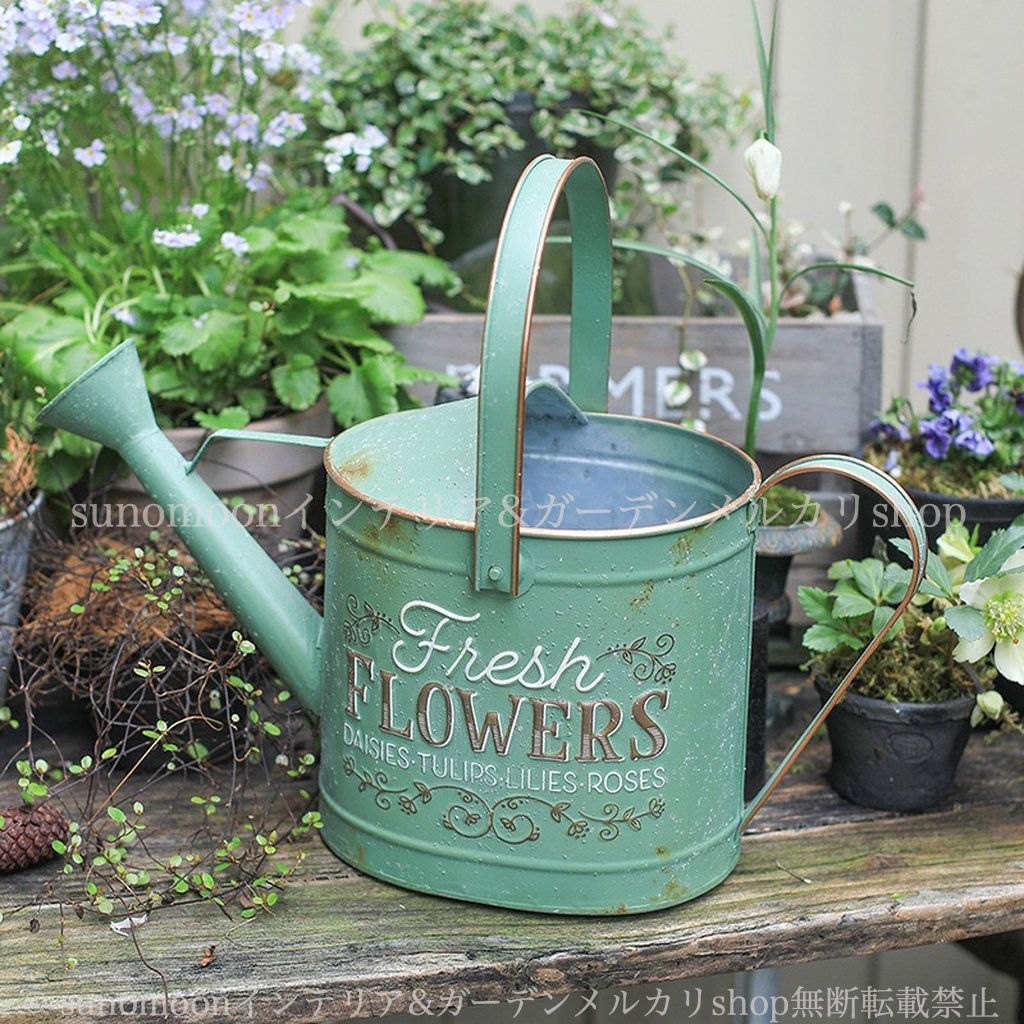 庭 ガーデン 庭の装飾 じょうろ 鉄 ガーデニング グリーン お洒落 雑貨 ジョウロ 家庭用 シャビーシック おしゃれ ガーデン雑貨 ガーデンインテリア 鉄製 中庭用 8-14 緑 インテリア