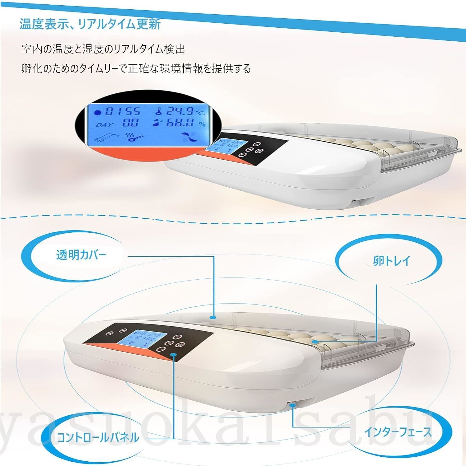 鳥類 子供教育用