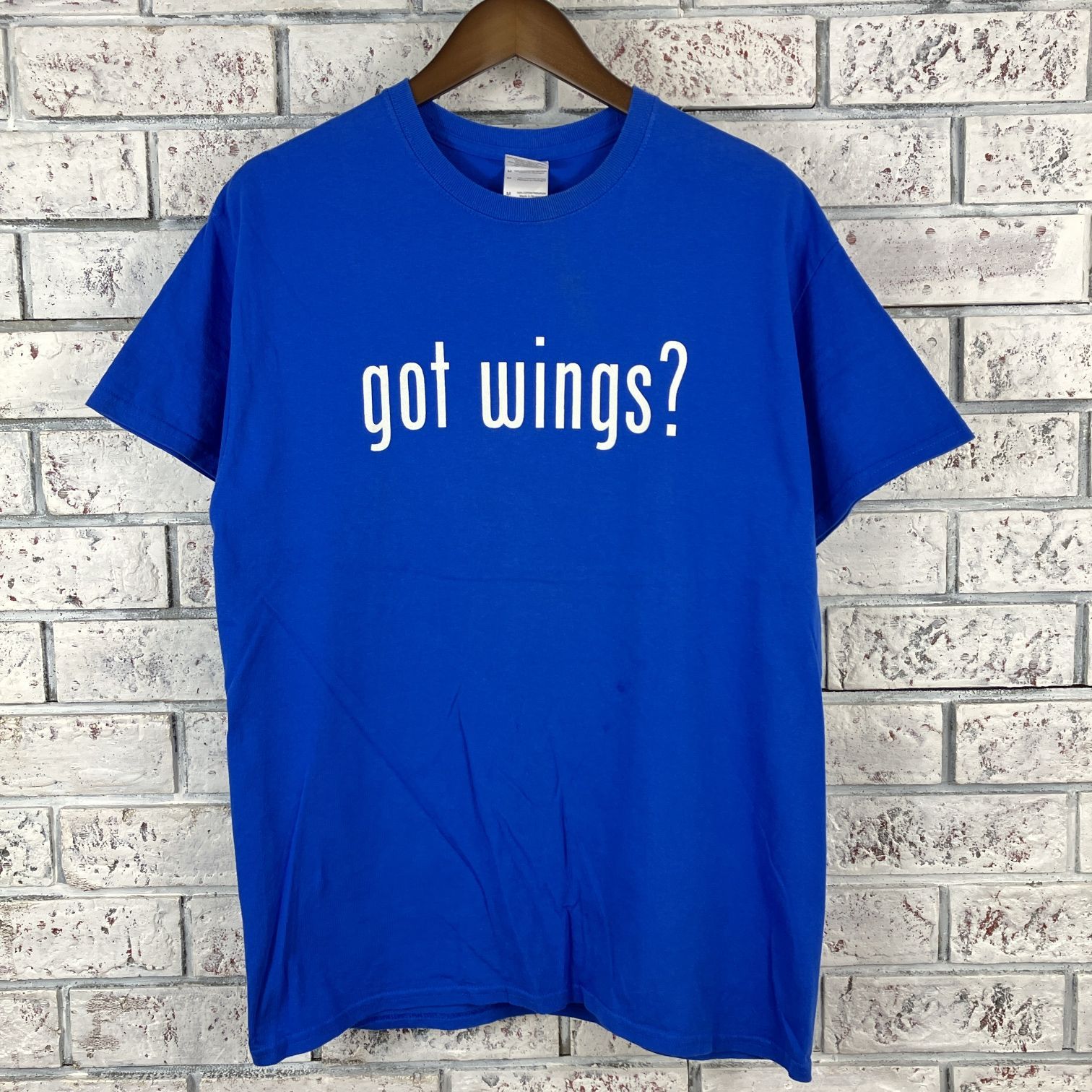 ホーリーエンジェルス Tシャツ GOT WINGS PRINT T-SHIRTS