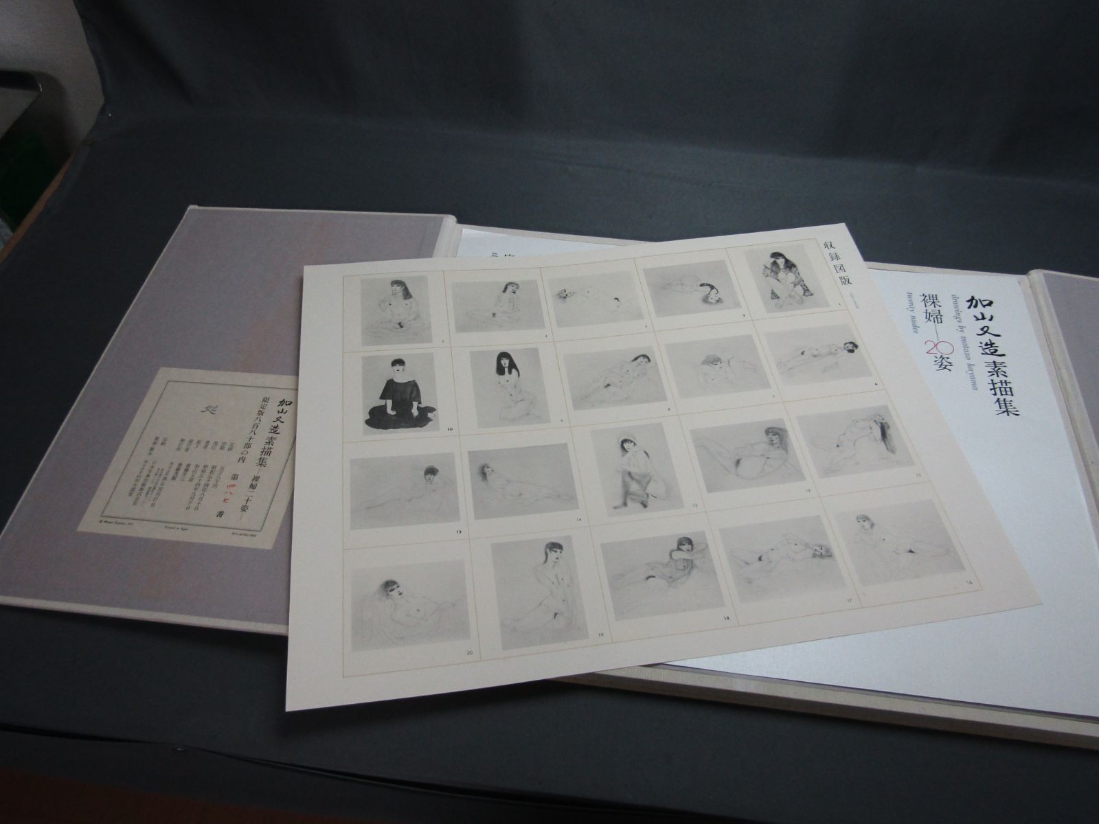 加山又造、丹頂鶴、希少画集画、新品高級額装付